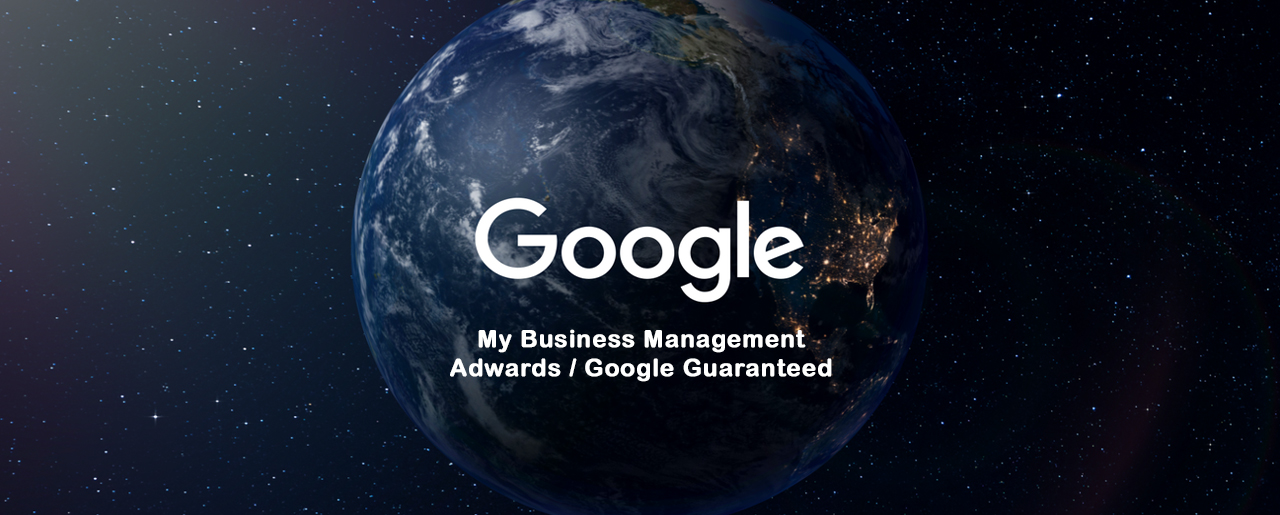 Google My Business Management